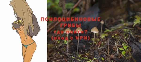 a pvp Вязники