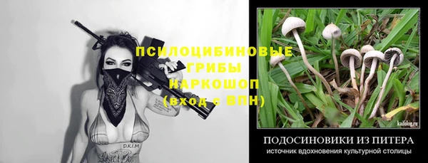 a pvp Вязники