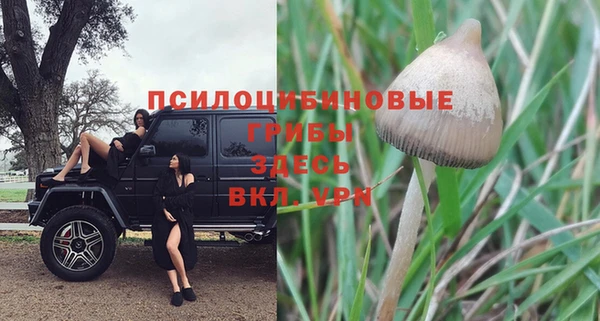 a pvp Вязники